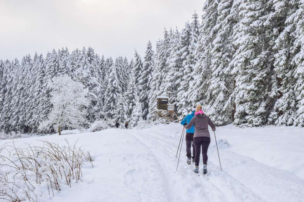 The Overseas Retirement Roadmap